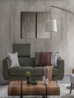 asimo-koltuk-doseme 18